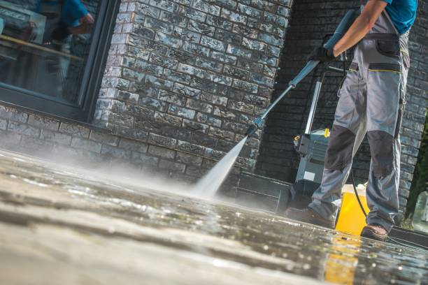 Best Graffiti Removal  in Elm City, NC